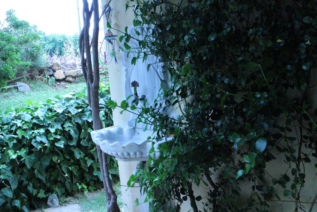 Stone House With Garden In Cunda/ayvalik Case de vacanță Ayvalı